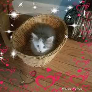 Meet your Posher, Lesley